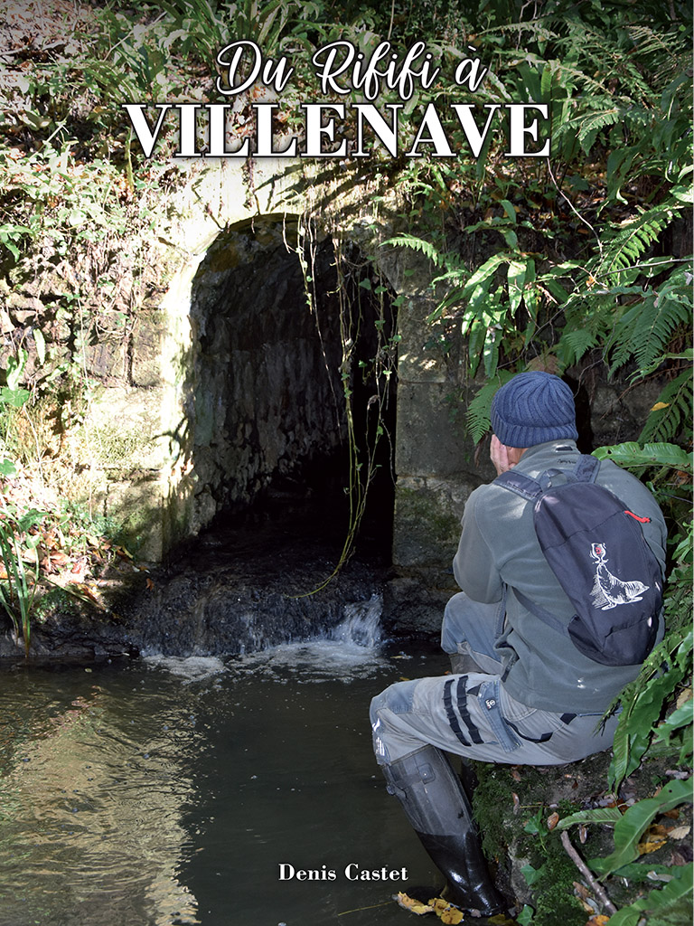 Du Rififi à Villenave — image 1